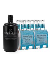 Cruzloma Gin & Tonic 44,0% 2,3 l