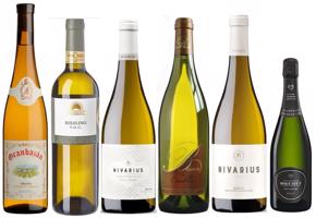 Decanter Wine Awards - oceněná bílá vína